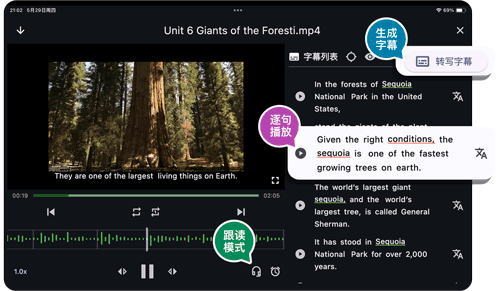 功能 1 AI 自动断句  截图